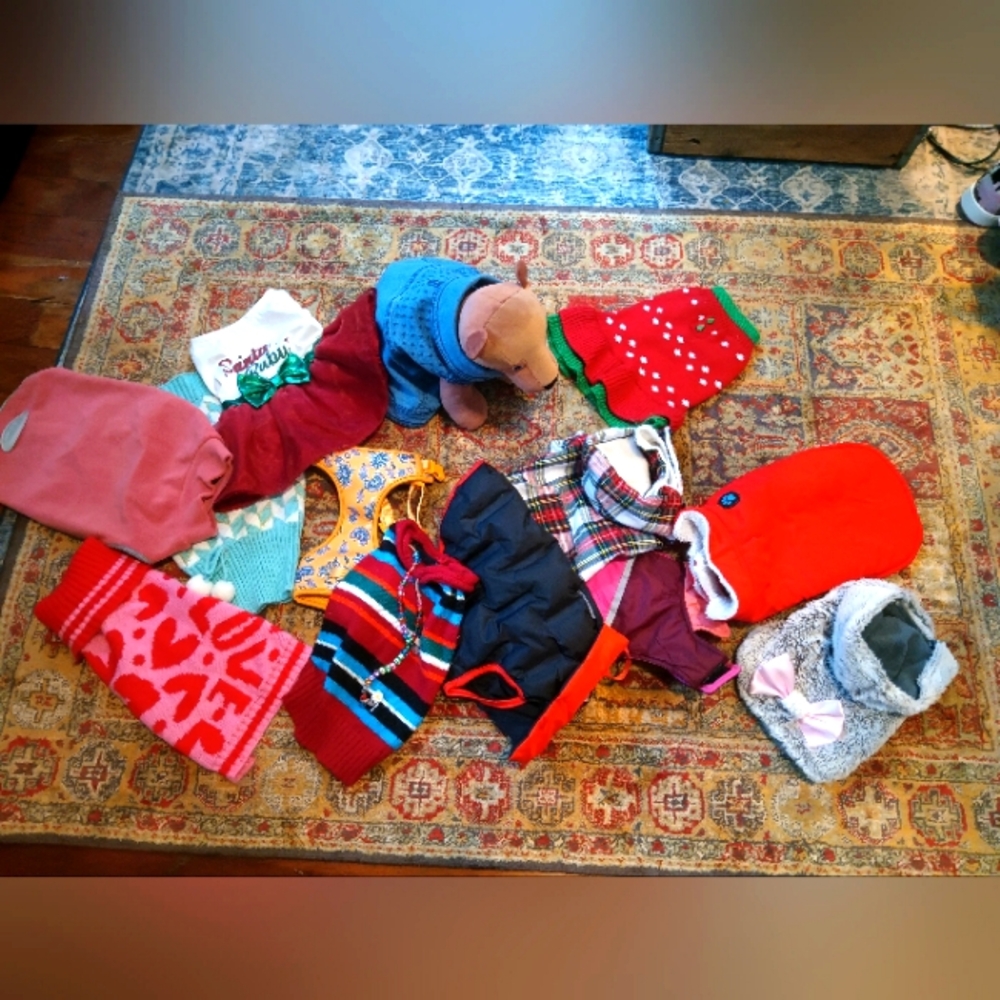 Dog Bundle  Clothes Size Small 13 Items